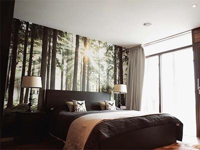 PROPERTY DEVELOPMENT